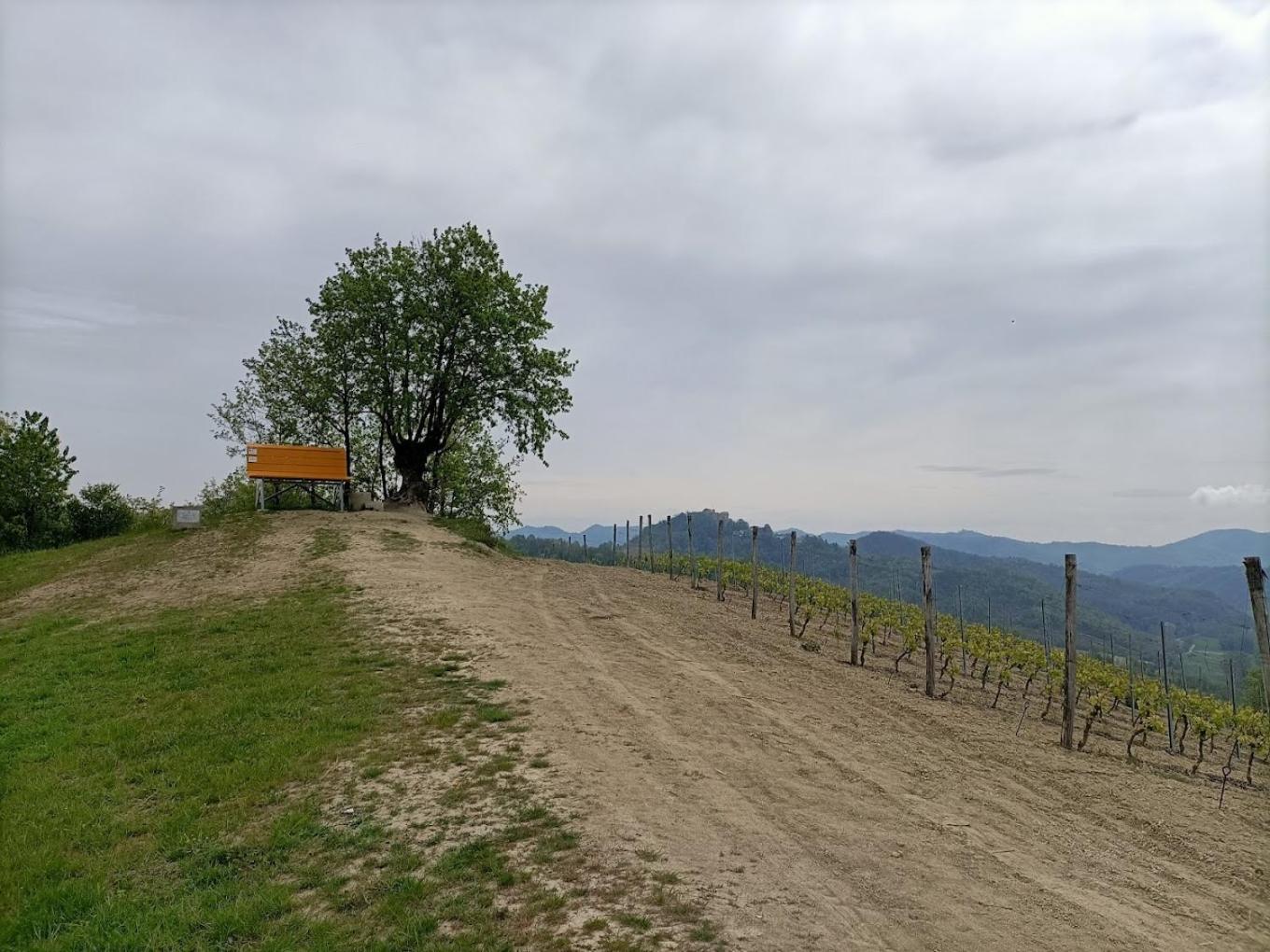 Monferrato Bed&Bike Hotel Murisengo Eksteriør billede
